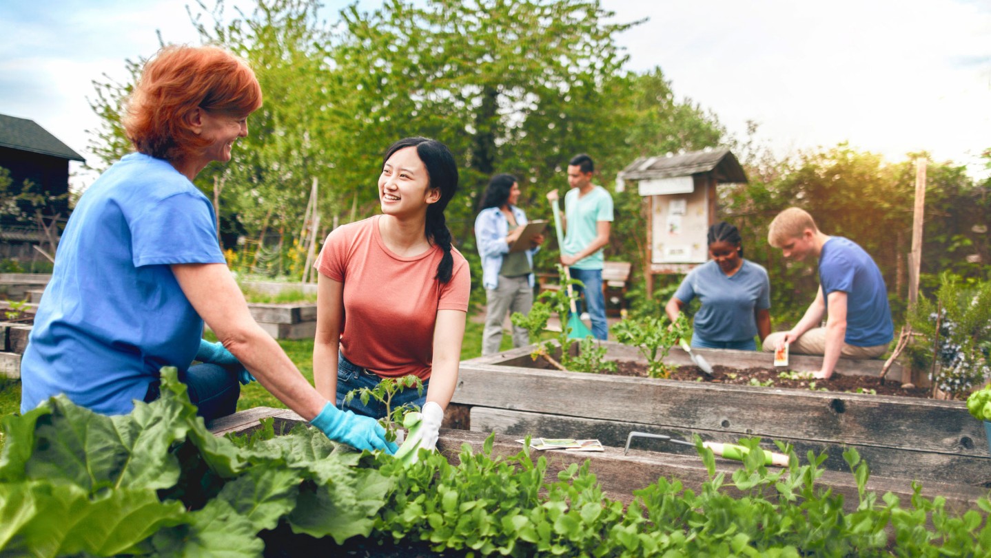 Community garden